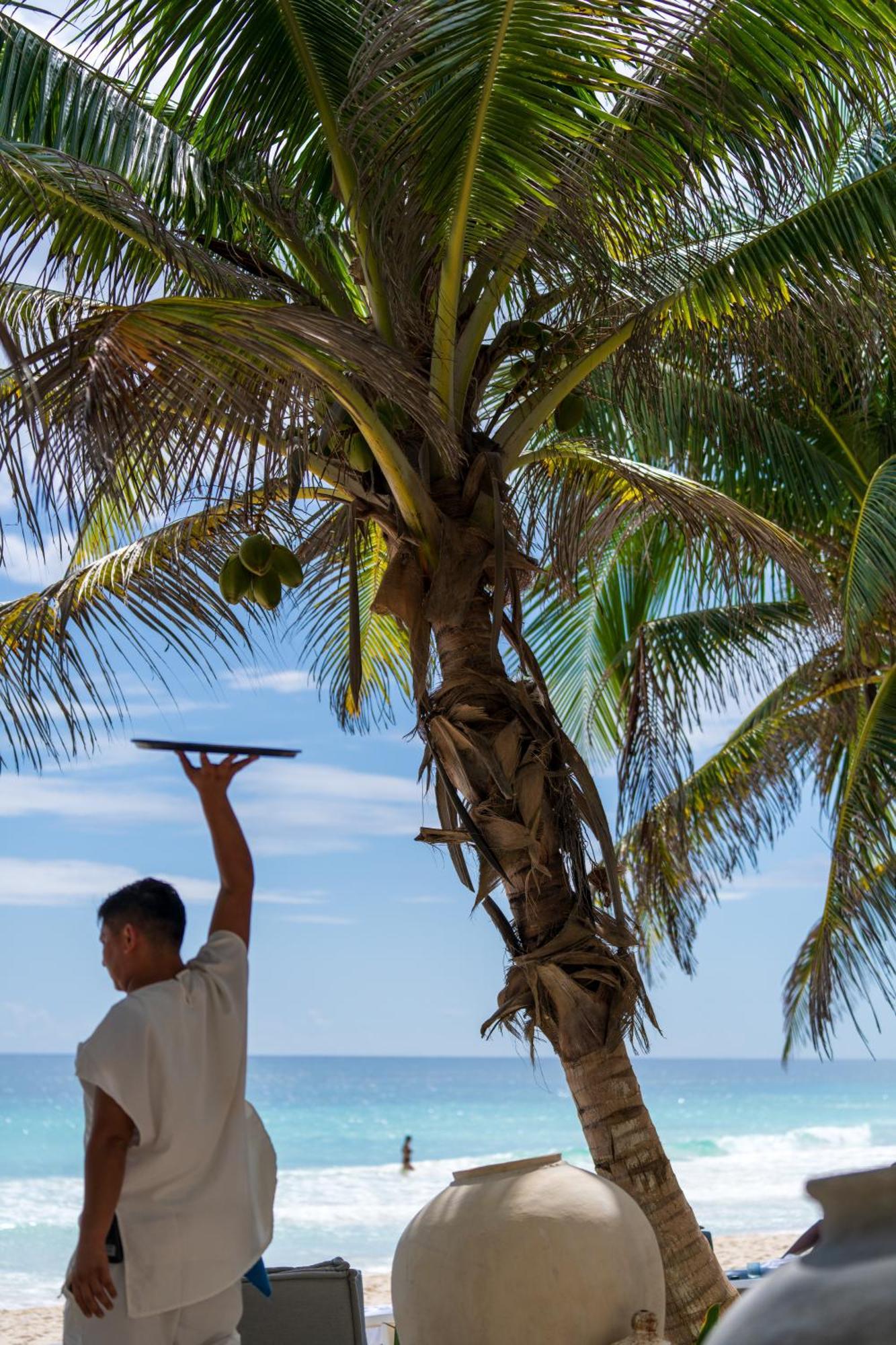 Sana Tulum Beachfront Boutique Hotel ภายนอก รูปภาพ